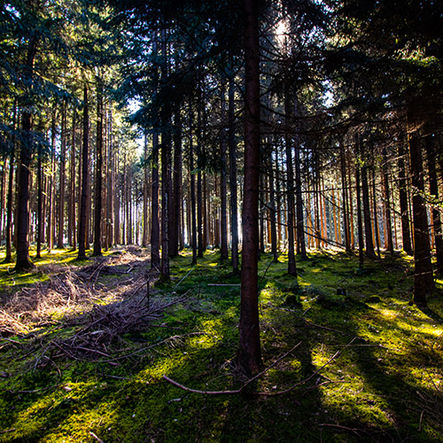 DEPRESSIONEN & BURNOUT